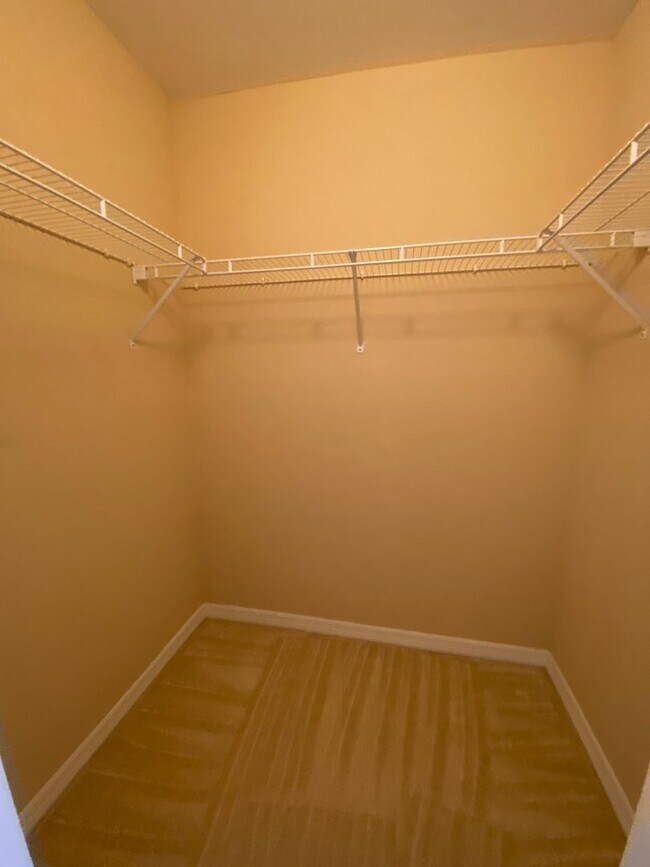Building Photo - 2677 Blue Cypress Lake Ct