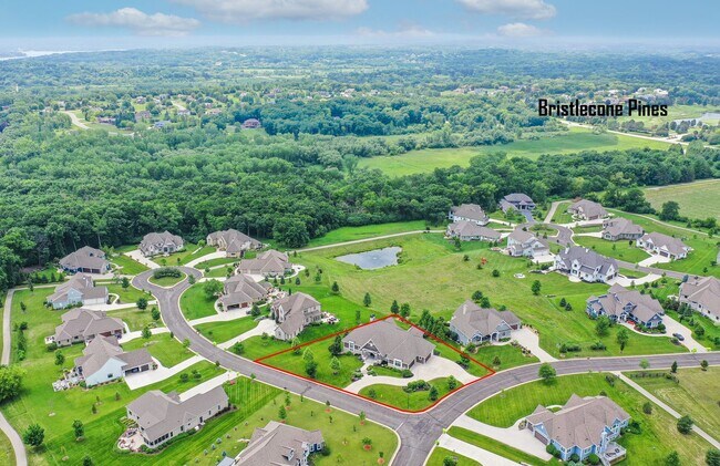 Building Photo - 1626 Twisted Oak Ct