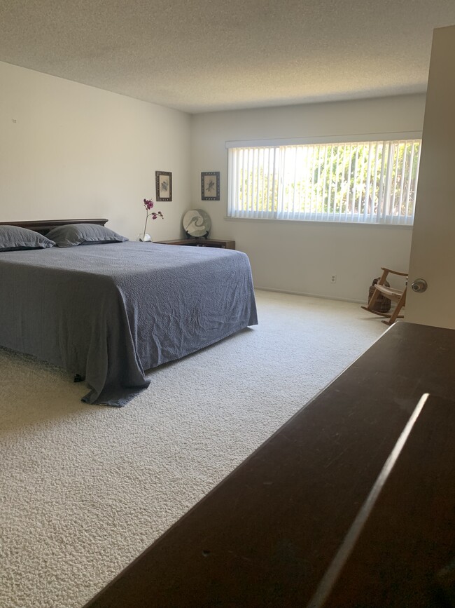 Large & Bright Master Bedroom facing backyard - 8561 Windlass Dr