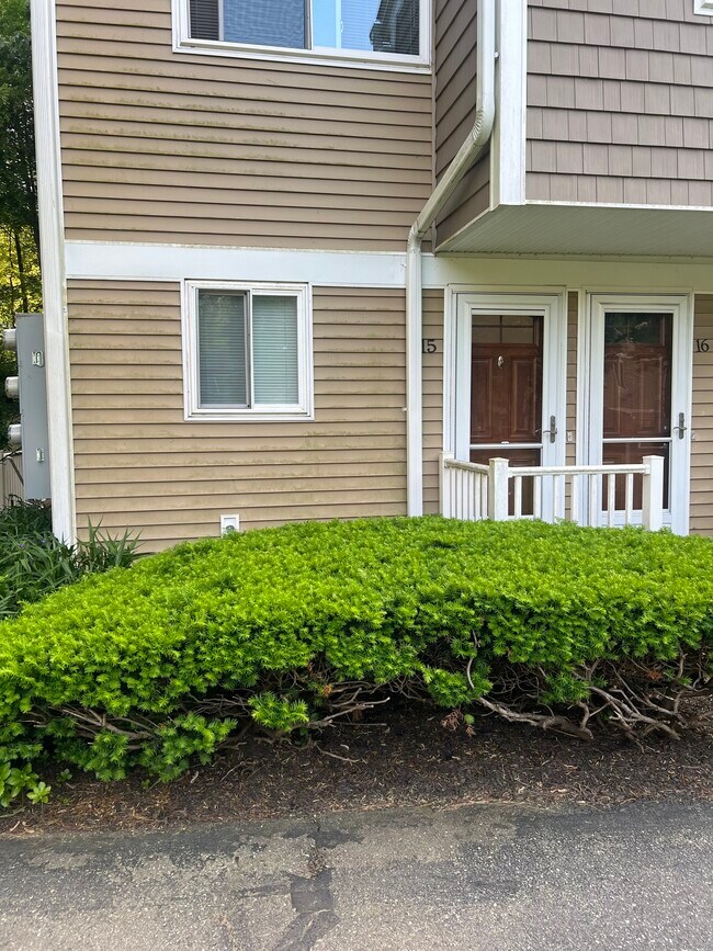 Primary Photo - 6 Rose Ln