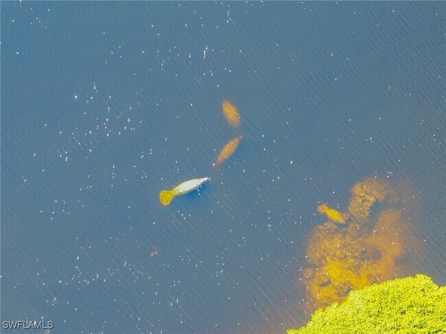 Building Photo - 17288 Hidden Estates Cir