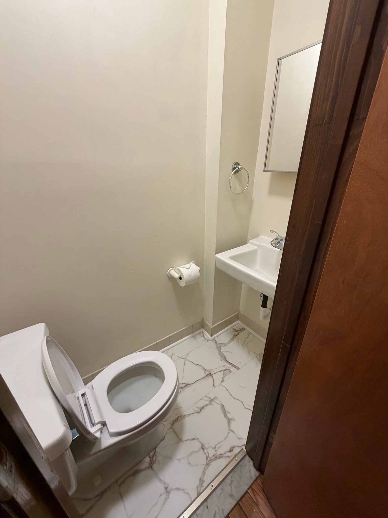 powder room off living room - 507 Catharine St
