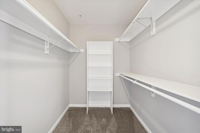 Building Photo - 8114 Mallard Shore Dr