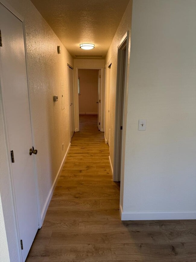 Building Photo - 300 Shafer Ln