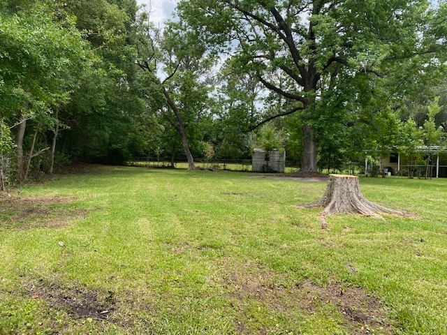 Back Yard - 2940 Begonia Rd