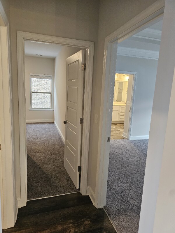 Building Photo - 107 Cypress Holw Trl