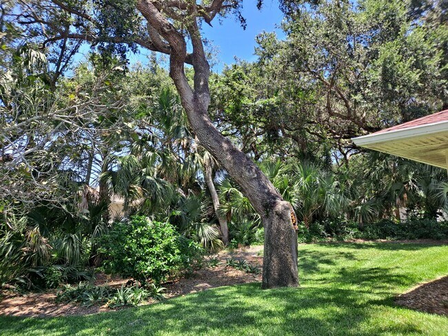 Building Photo - BEACHSIDE NSB FURNISHED RENTAL AVAILABLE MONTHLY!