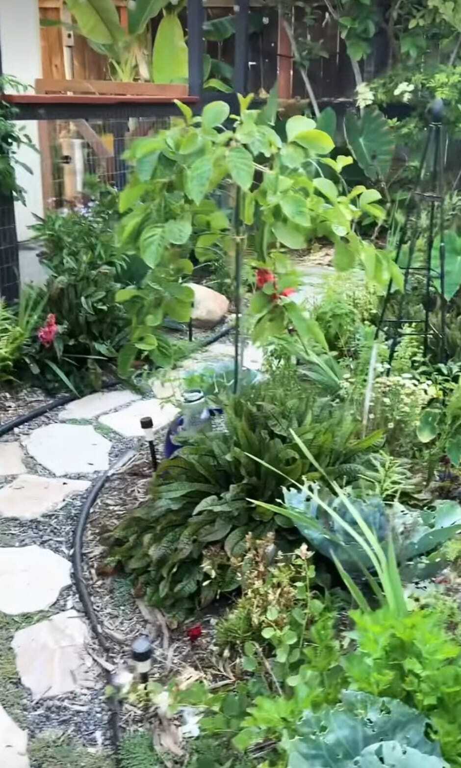 Building Photo - 395 Plaza Calimar