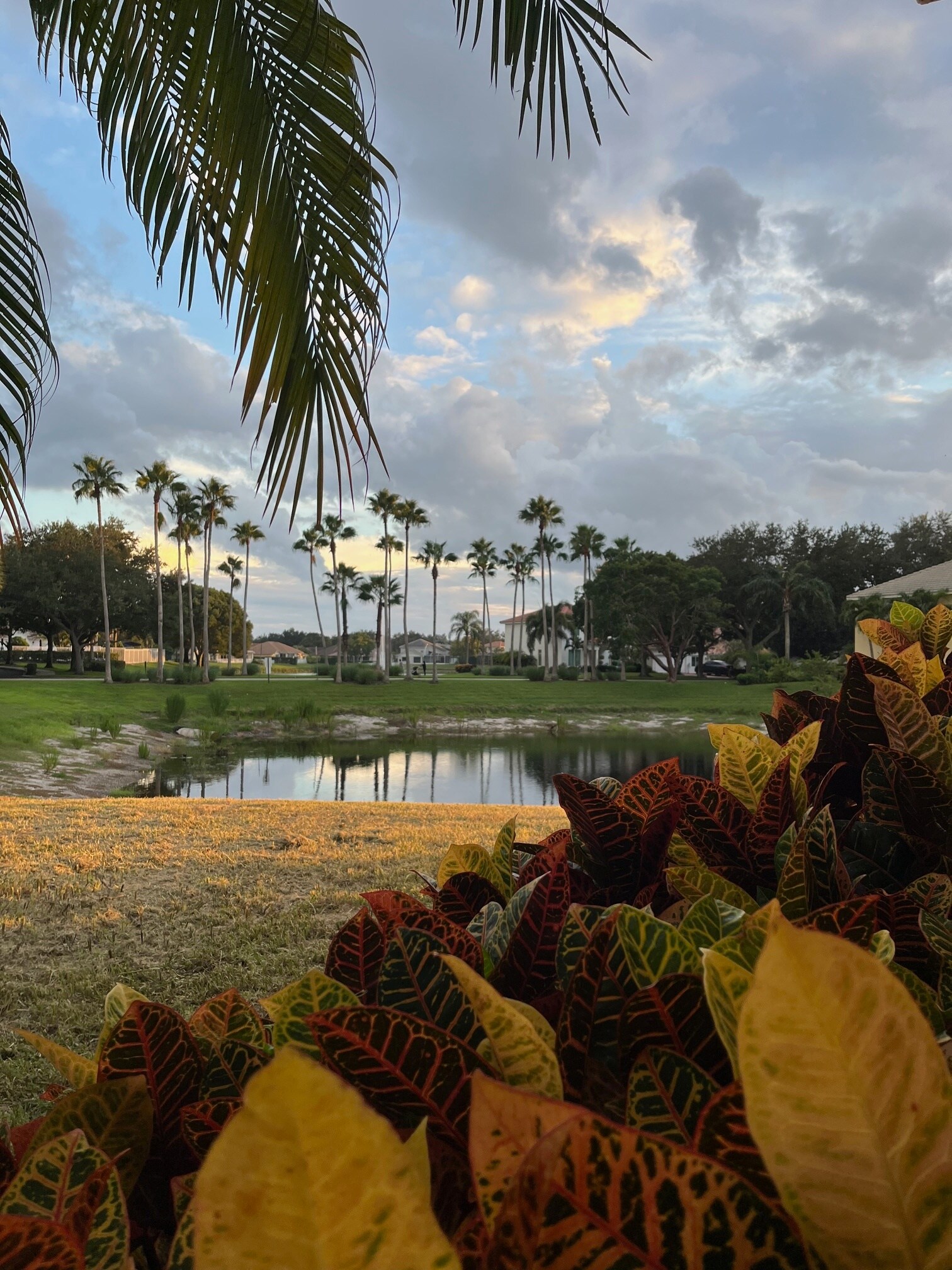 Building Photo - 207 Banyanwood Pt