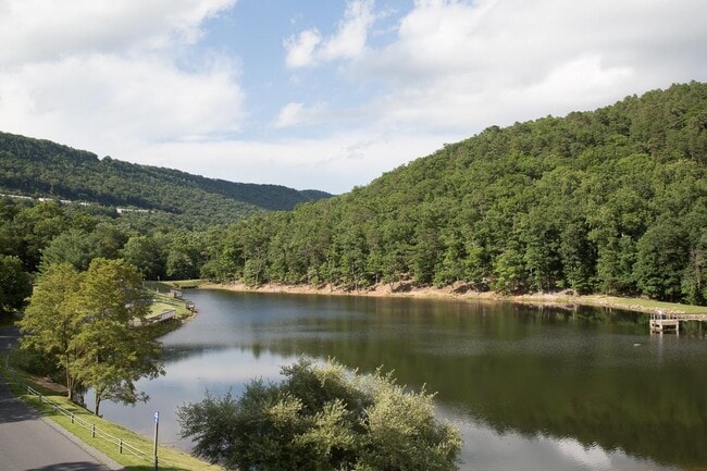 Building Photo - 223 Turkey Dr