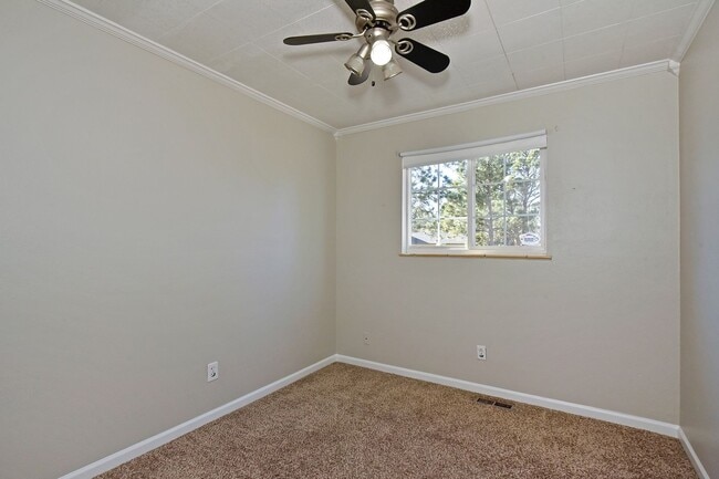 Building Photo - Large 4 bedroom 3bath Home in Colorado Springs