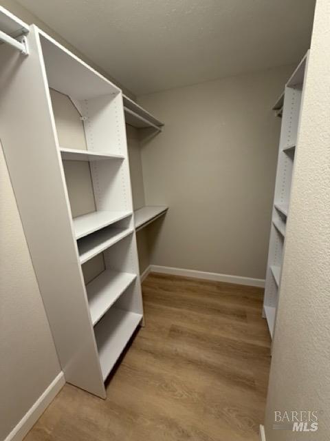 Building Photo - 503 Lupine Cir