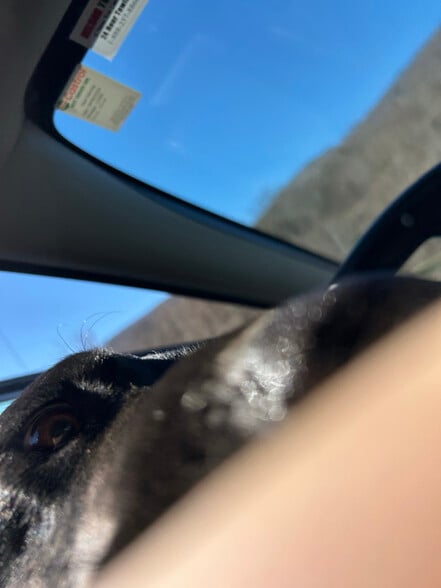 Building Photo - 6153 Belcher Mountain Rd