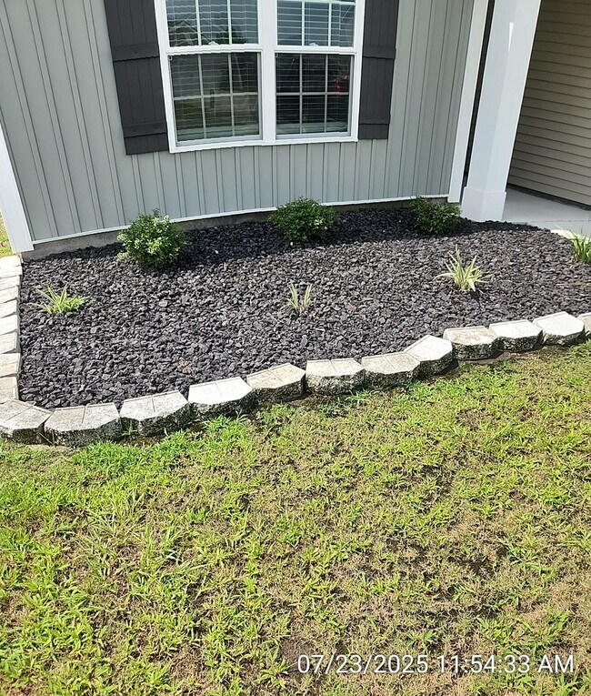 Building Photo - 64 Sunflower Cir NE