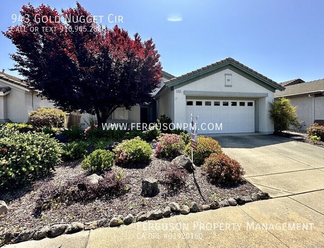 Building Photo - 943 Gold Nugget Cir