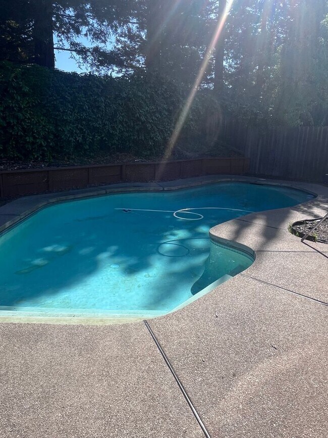 Building Photo - ADORABLE 3 BEDROOM HOUSE WITH POOL!