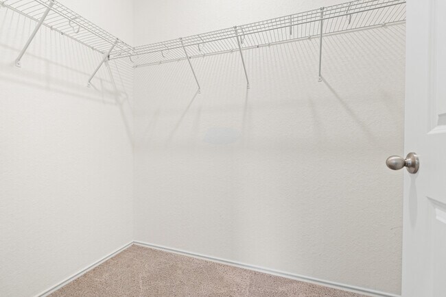 Building Photo - 5234 Winding Strm