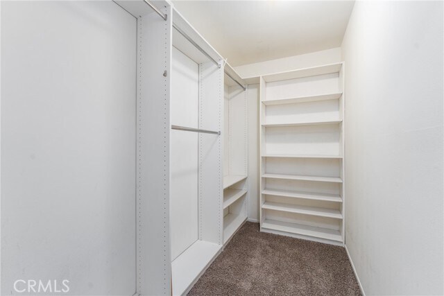 Building Photo - 2561 Occidental Cir