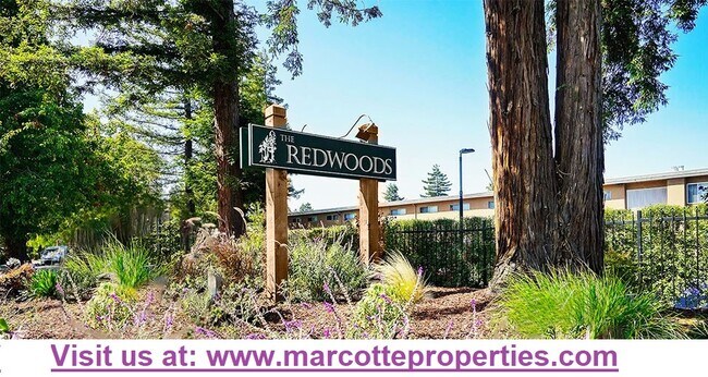 Primary Photo - Redwoods Apartments