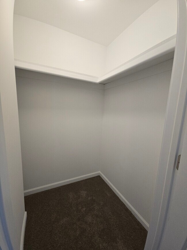 Closet 2 in Main BR - 41215 S Woodbury Green Dr