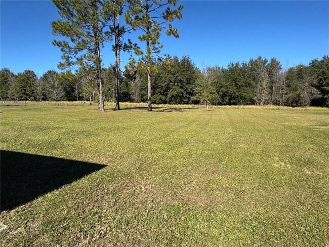 Building Photo - 31326 Tyndall Rd