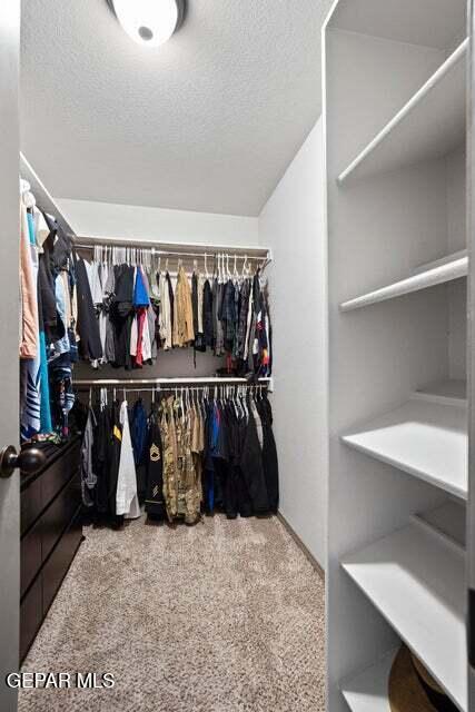 Building Photo - 1917 Tim Foster St