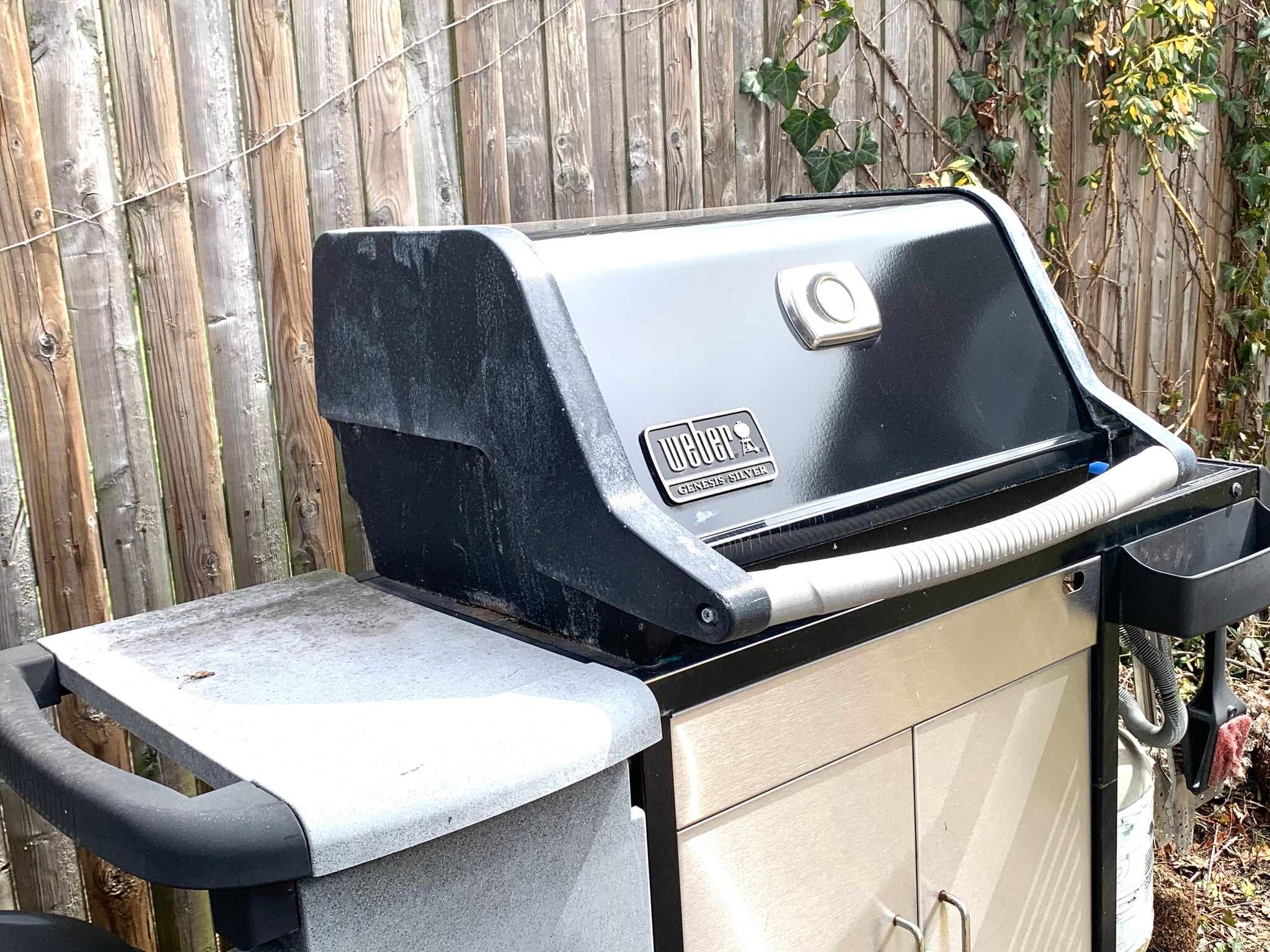 Building Photo - 22 Lyon St