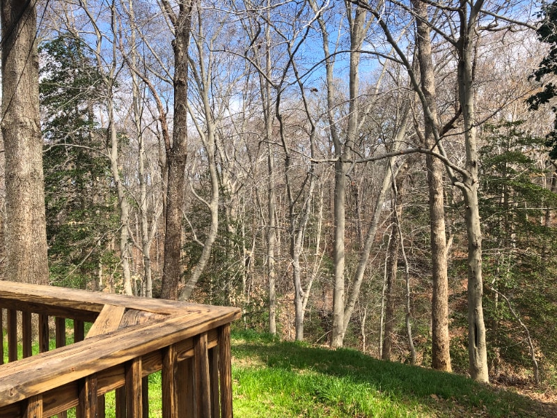 Building Photo - 42838 Higgs Ln