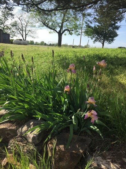 Beautiful Scenerie - 5510 State Hwy J