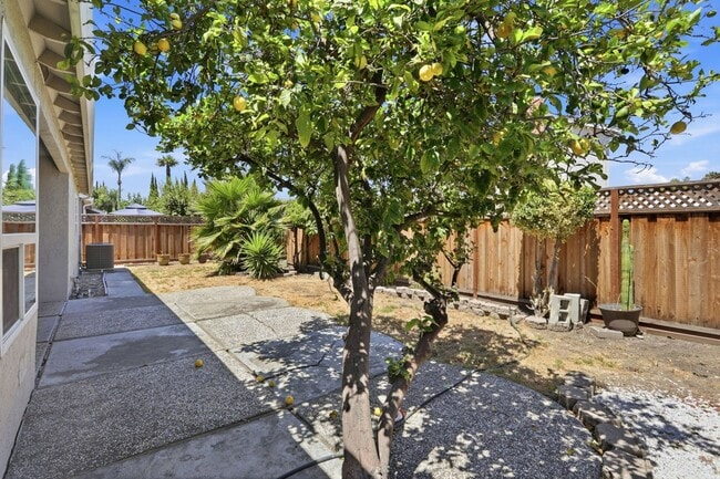 Building Photo - 663 Albion Dr