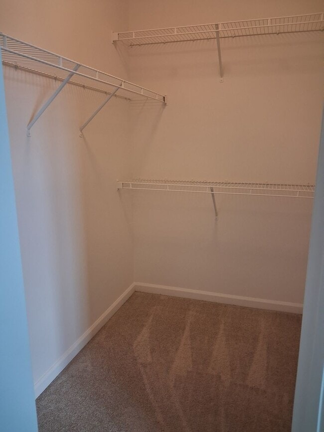 Building Photo - 4301 Saltmarsh Ln