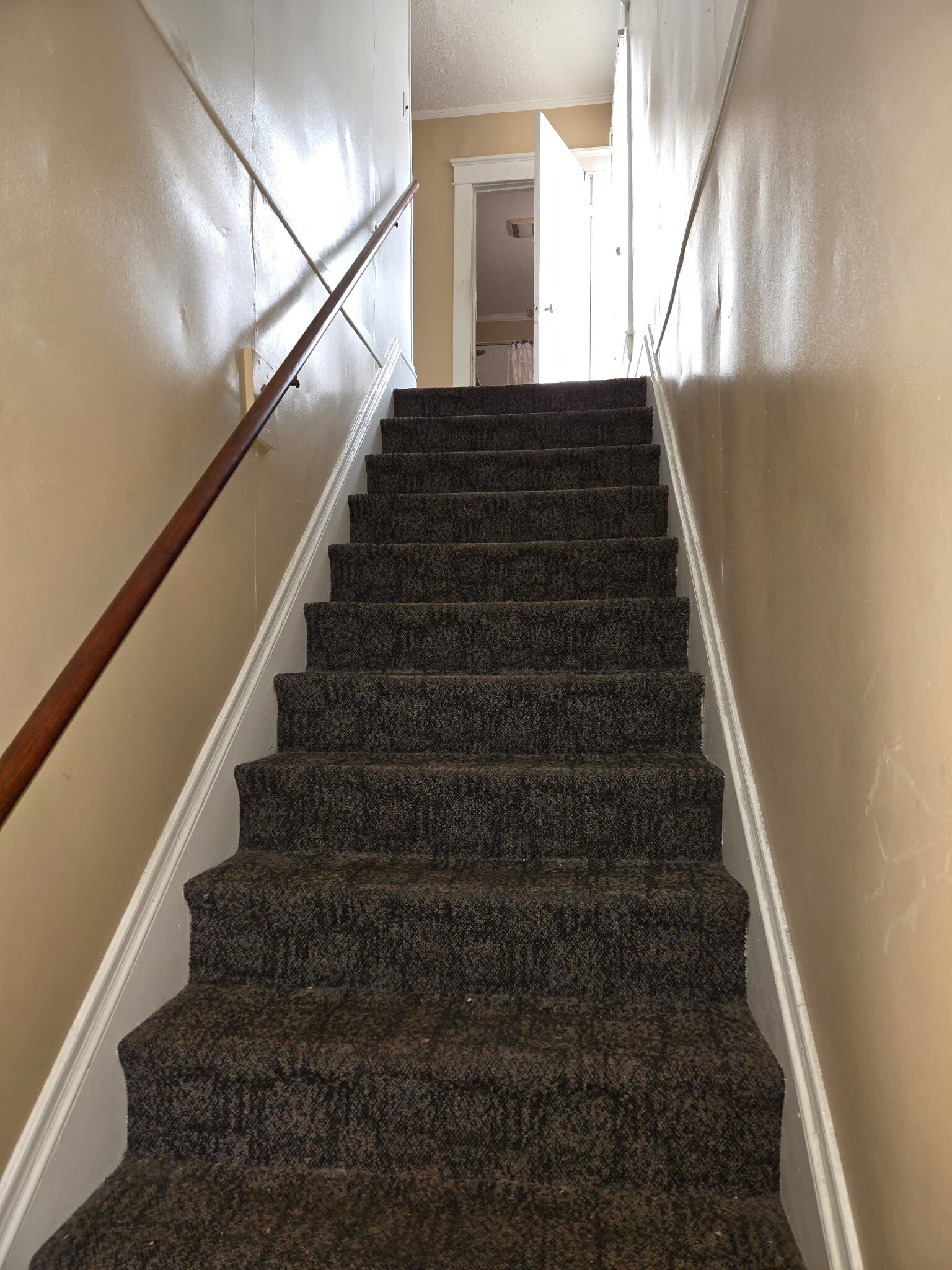 Stairway - 615 1/2 Maryland Ave