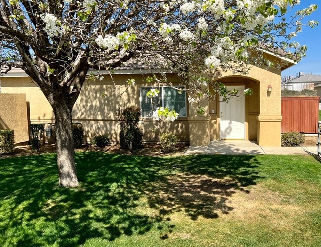 Primary Photo - 708 Meadow Grove Ct