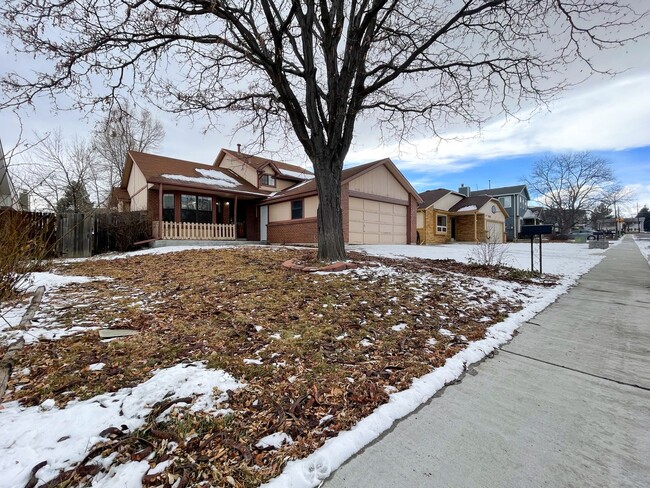 Building Photo - Renovated 3 bedroom 2 bathroom home in quiet Arvada neighborhood!