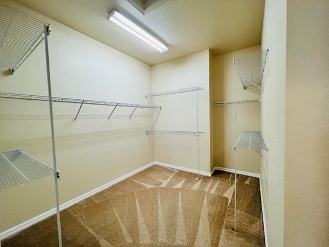 Building Photo - 25 Beechdale Ln