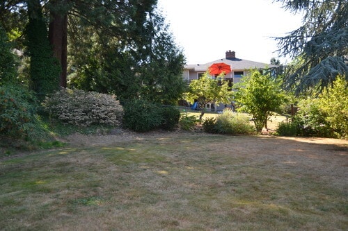 Deep backyard. Great space for grilling. - 9121 SW 35th Ave