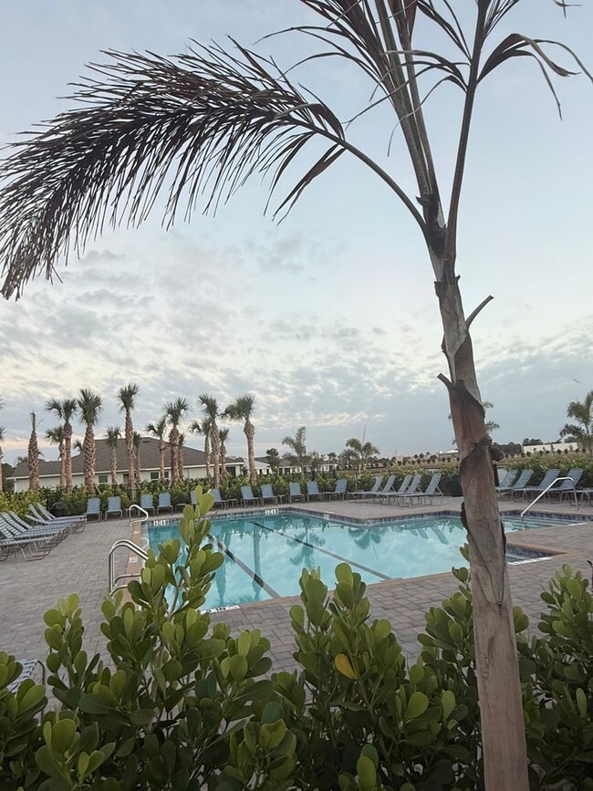 Building Photo - New Villa in Sea Cove