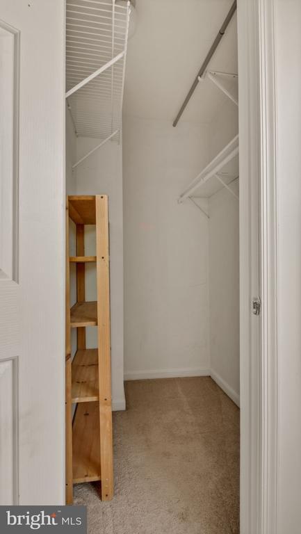 Building Photo - 11011 Coreys Way