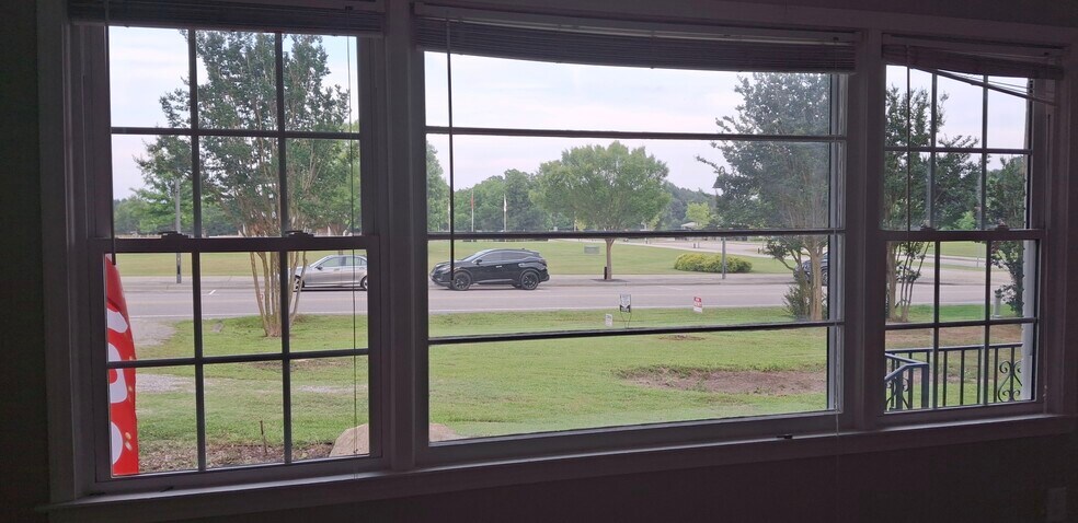 Beautiful view from the livingroom - 805 N 1st Ave