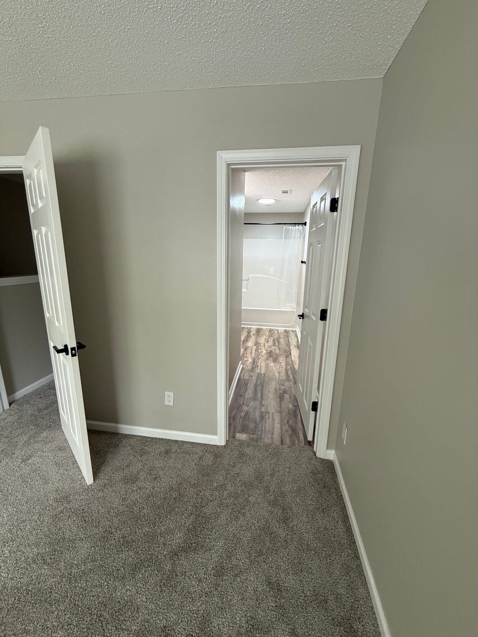 Master Bathroom Entrance - 272 Swaying Pine Ct