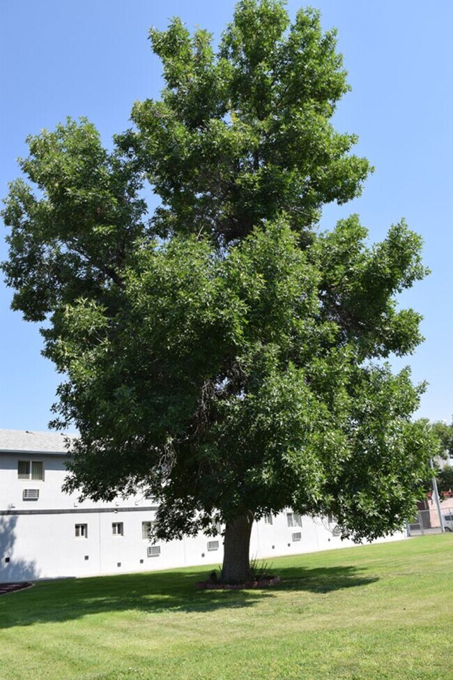 Building Photo - Furnished Efficiency Near Hospitals and Downtown