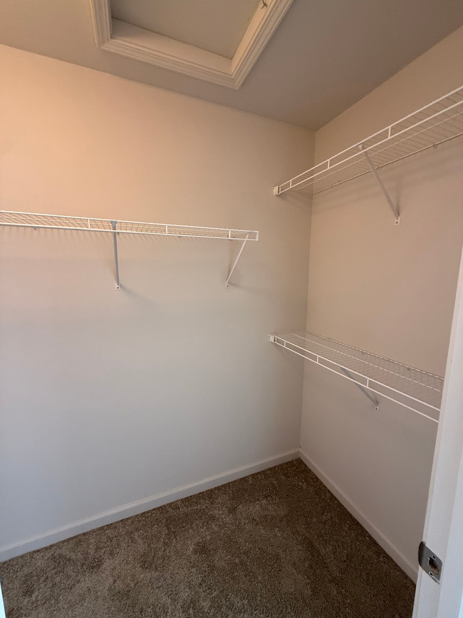 Primary Closet - 256 Old Woolen Mill Ln