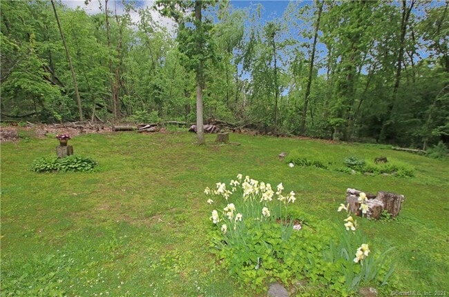 Building Photo - 854 Bullet Hill Rd