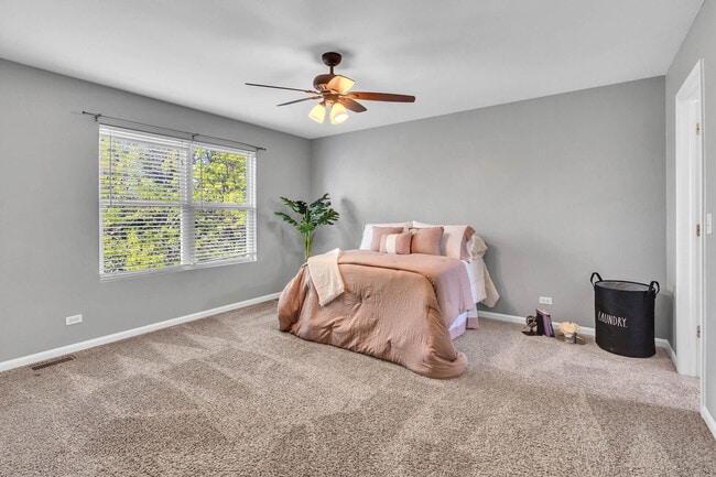 Building Photo - 4048 Boulder Ct