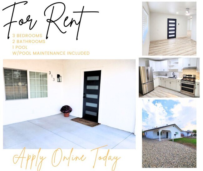 Primary Photo - 313 Magnolia Ave