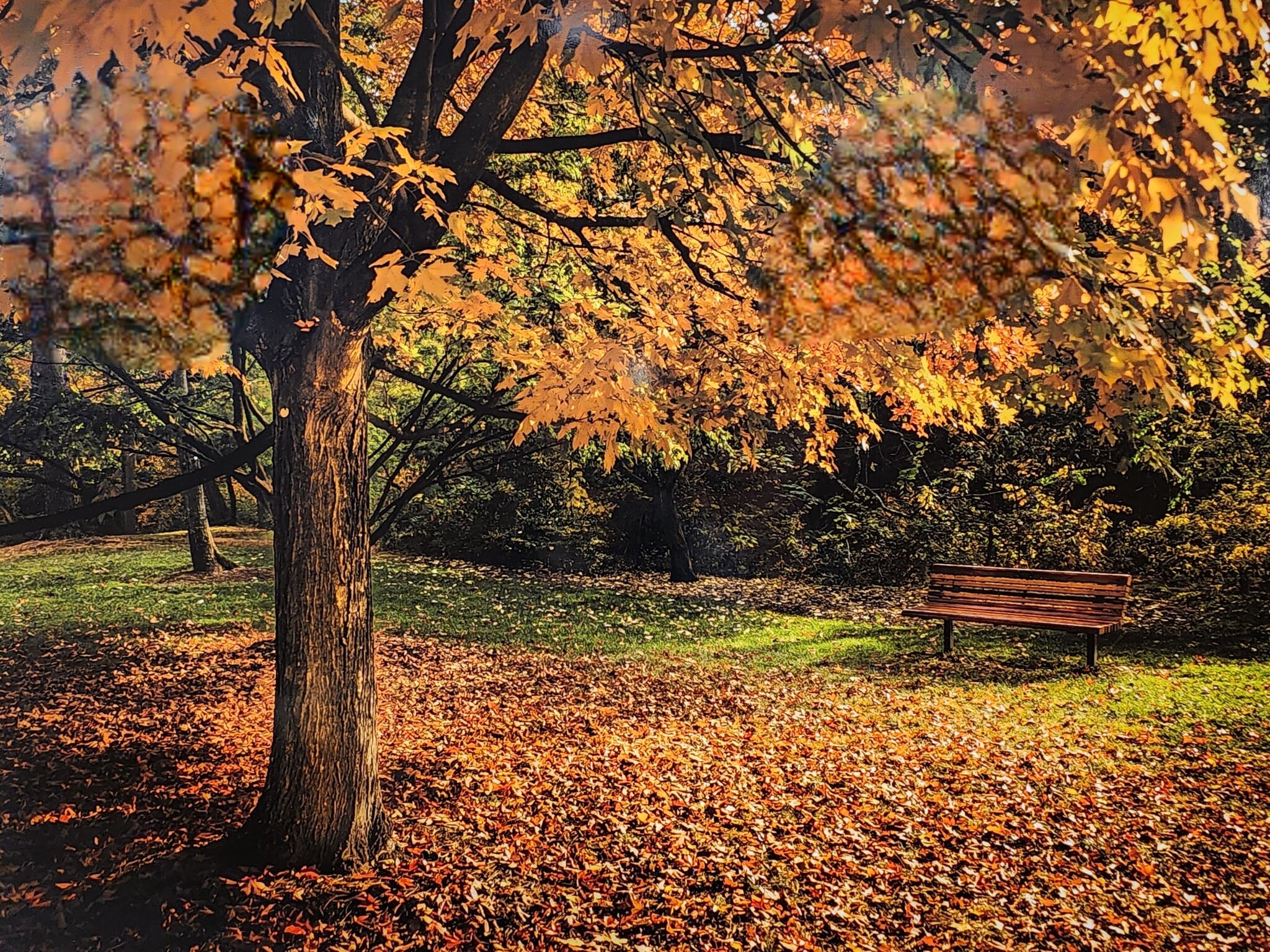 Property in the fall - 5901 Mt Eagle Dr