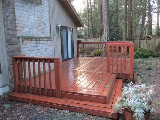 Building Photo - Large one level home with secluded backyar...