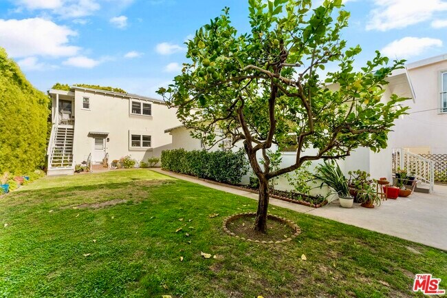 Backyard - 1010 14th St