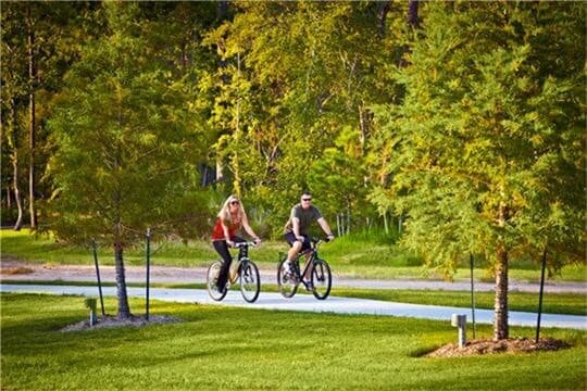 Building Photo - 91 S Downy Willow Cir