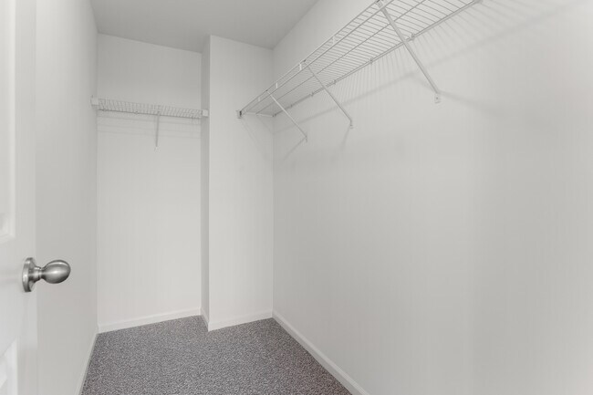 Building Photo - 1286 Catalina Ct.